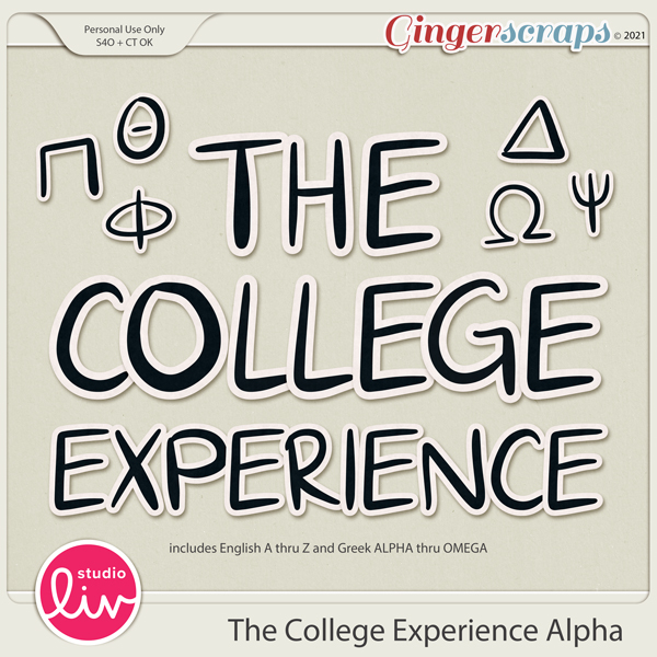 The College Experience Alpha preview