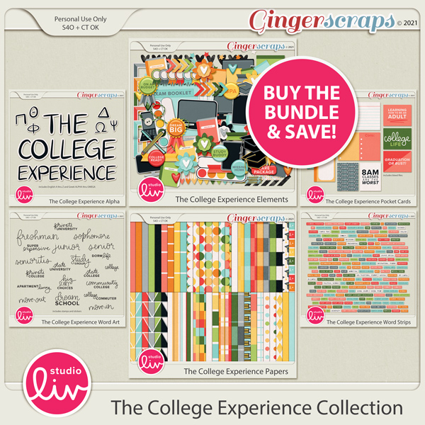 The College Experience Collection preview