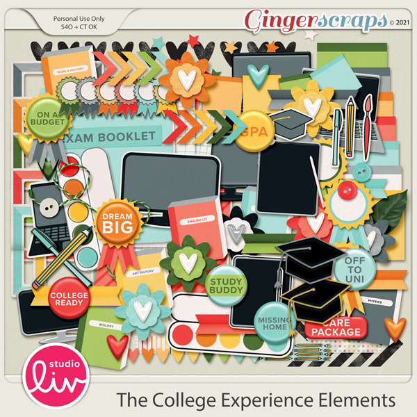 The College Experience Elements preview