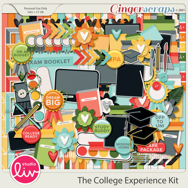 The College Experience Kit preview