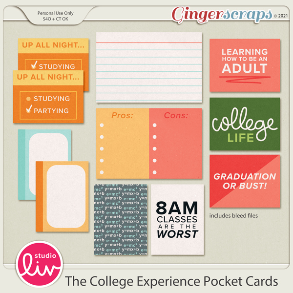 The College Experience Pocket Cards preview