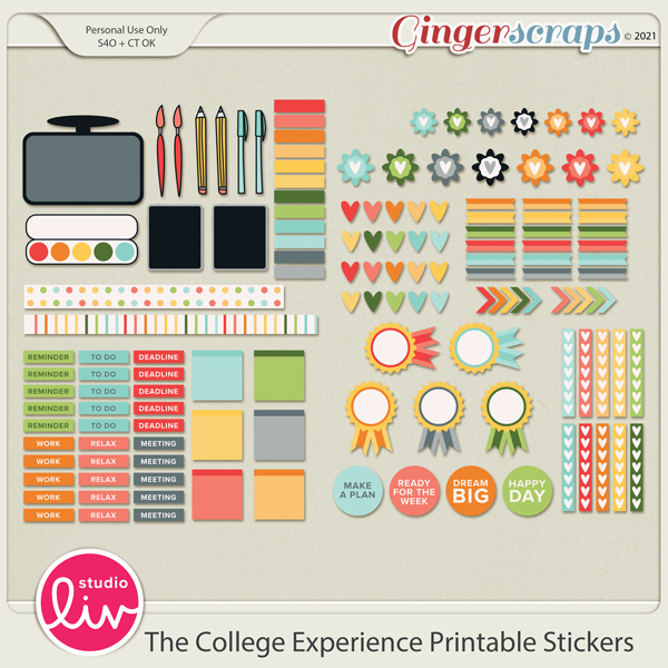 The College Experience Printable Stickers preview