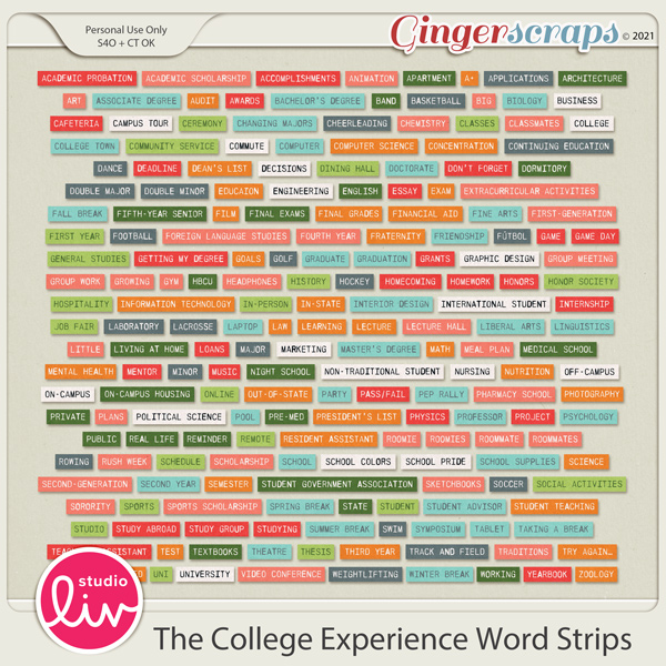 The College Experience Word Strips preview