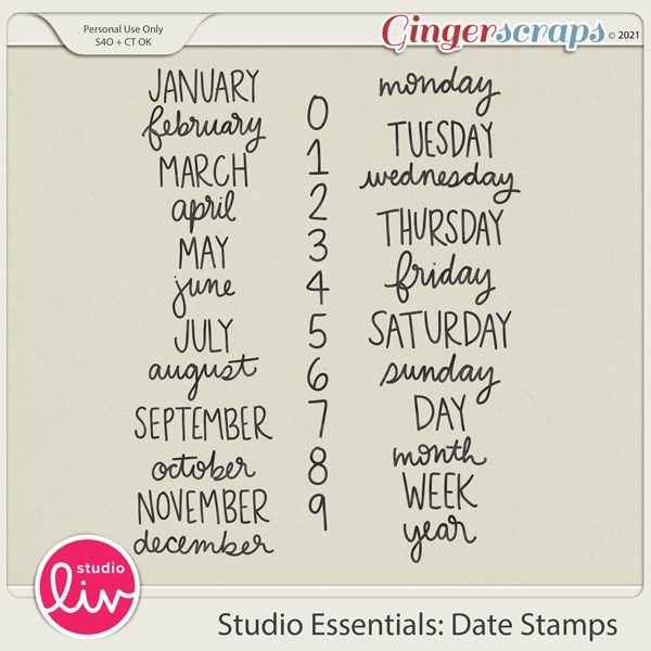 Studio Essentials: Date Stamps preview