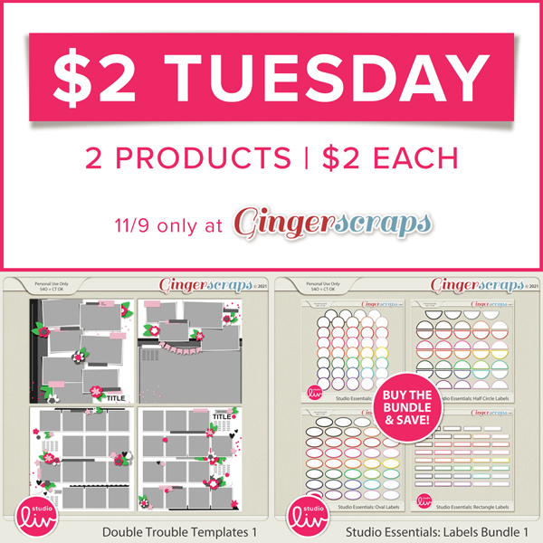 $2 Tuesday 2 products | $2 each 11/9 only at GingerScraps