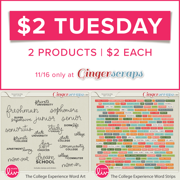 $2 Tuesday 2 products | $2 each 11/16 only at GingerScraps