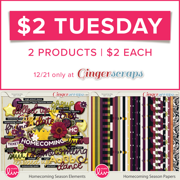 $2 Tuesday 2 products | $2 each 12/21 only at GingerScraps