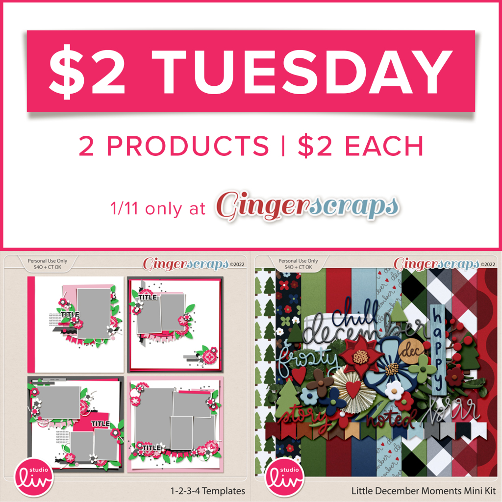 $2 Tuesday 2 products | $2 each 1/11 only at GingerScraps