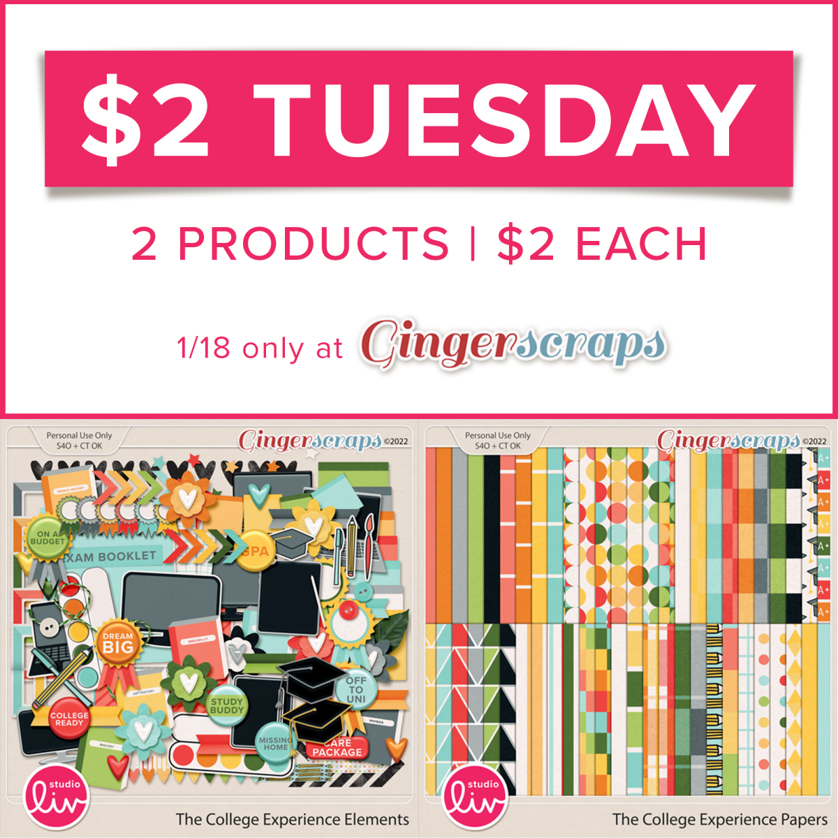 $2 Tuesday: The College Experience Elements and Papers