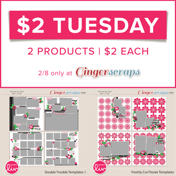$2 Tuesday 2 products | $2 each 2/8 only at GingerScraps
