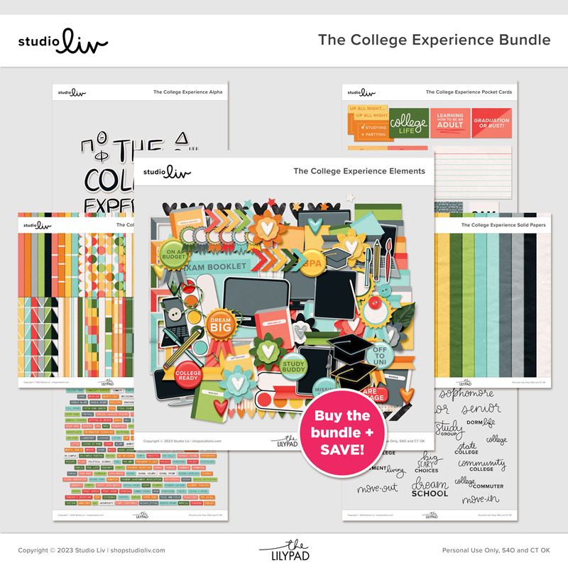 The College Experience Bundle