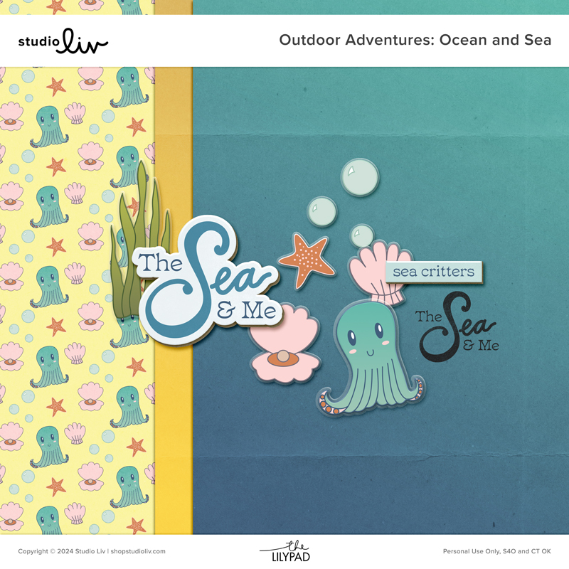 Outdoor Adventures: Ocean and Sea