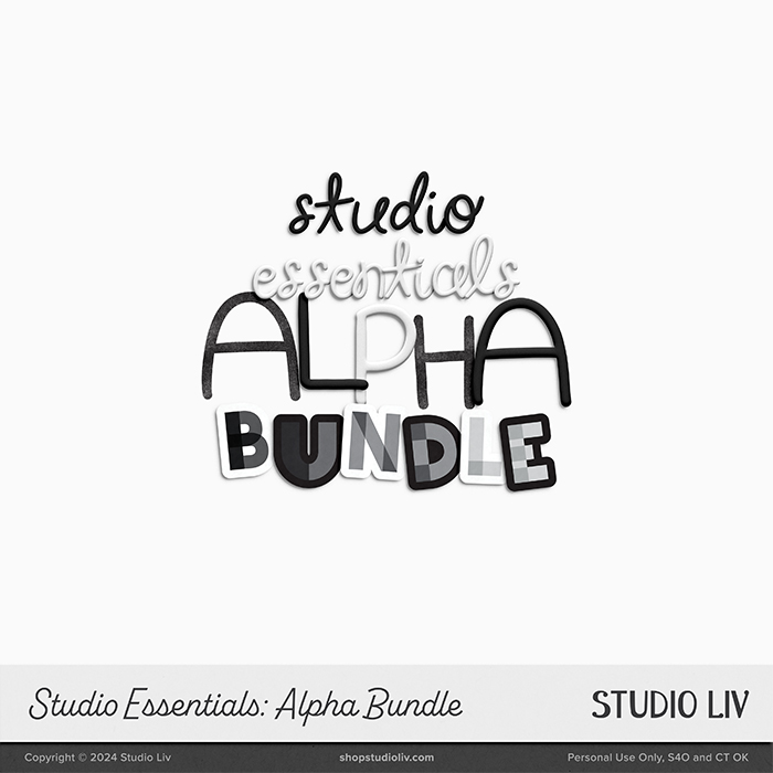 Studio Essentials: Alpha Bundle