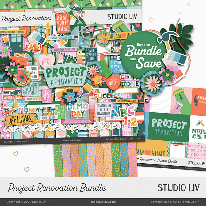Project Renovation Bundle